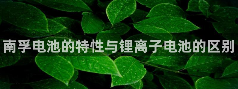 tp钱包怎么创建usdt钱包图片
