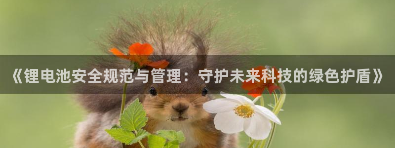 tp钱包观察钱包怎么转币