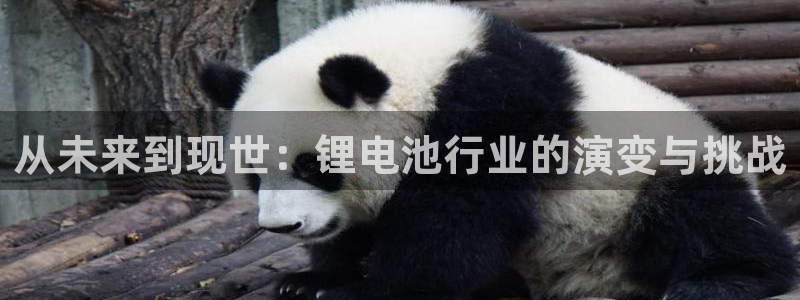 tp下载安装